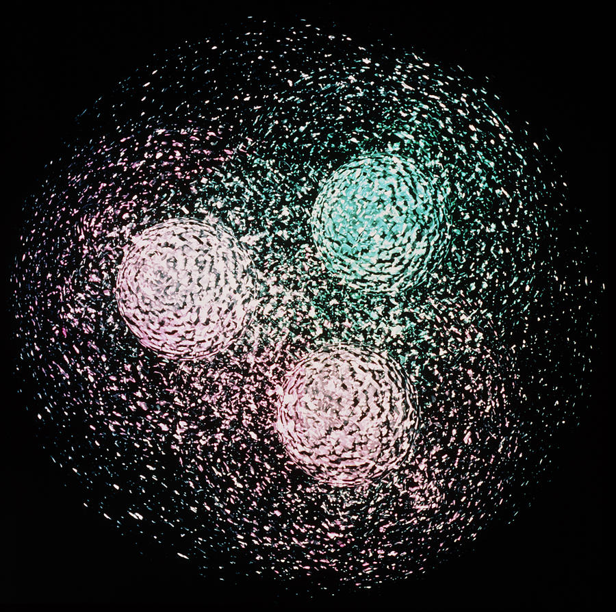 Quark Structure