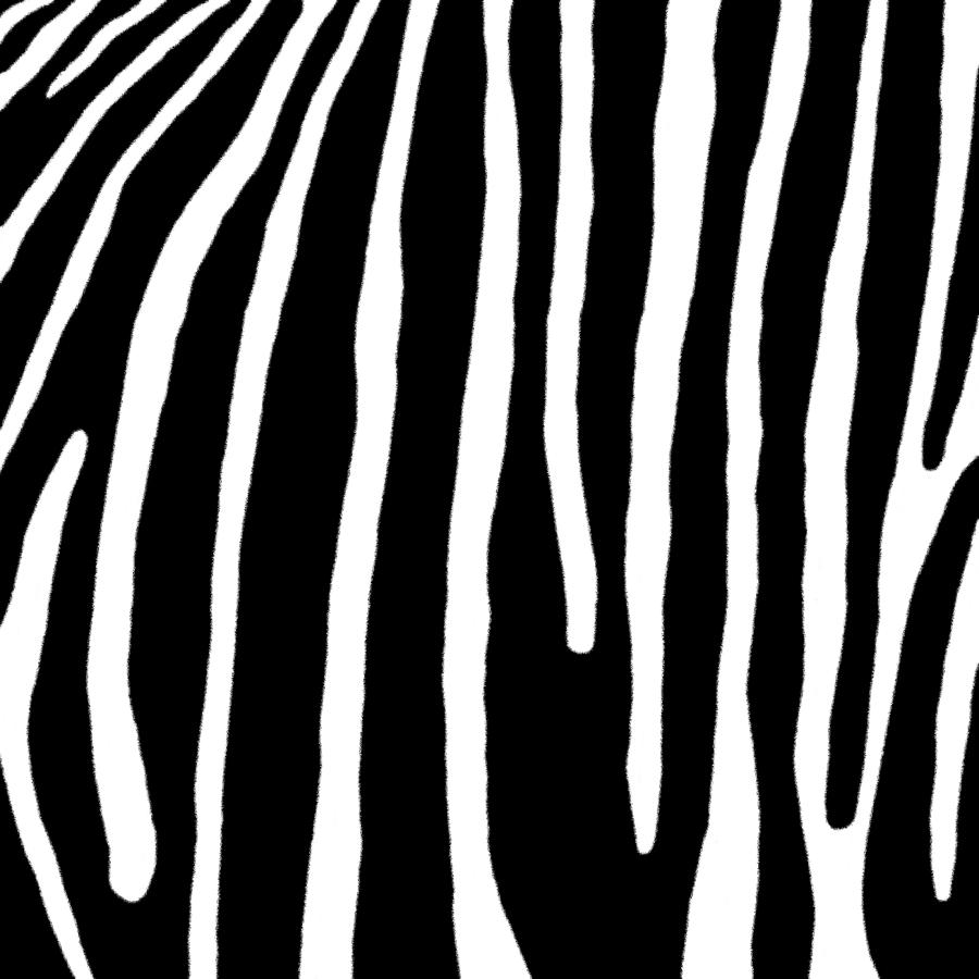 Zebra Stripes