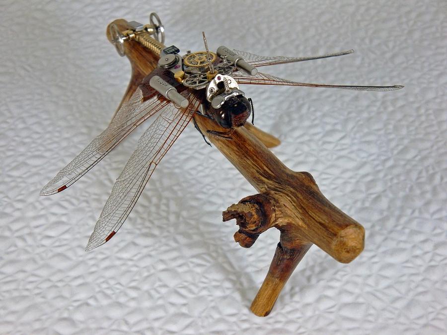 Steampunk Clockpunk Mechanical Bugs Sculpture by Dmitriy Khristenko