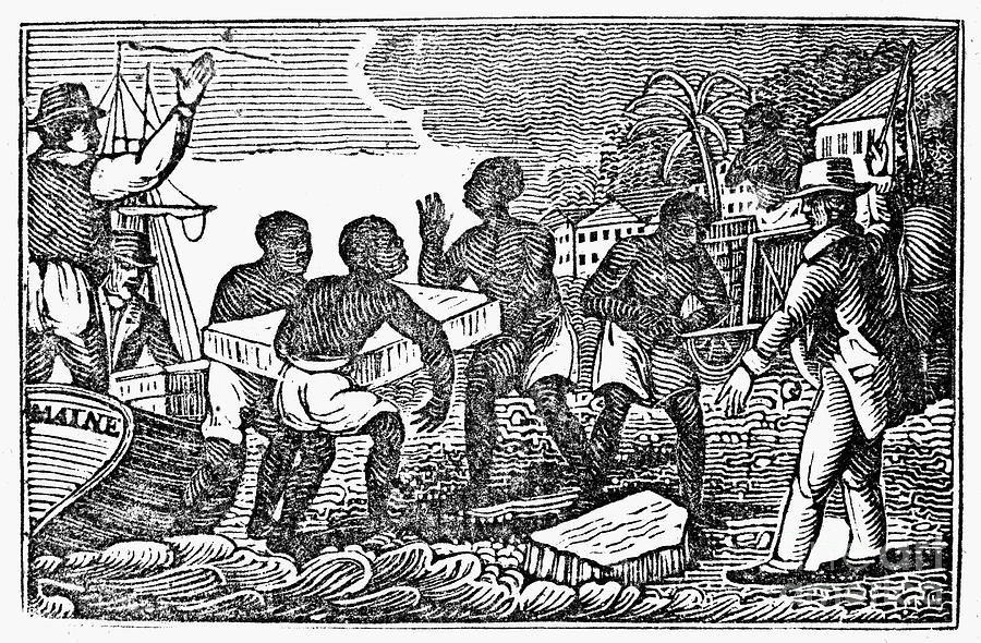 Slavery West Indies Photograph by Granger