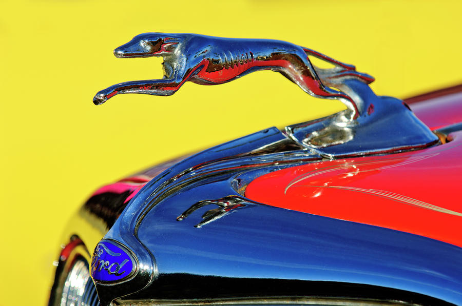 1934 Ford Hood Ornament by Jill Reger