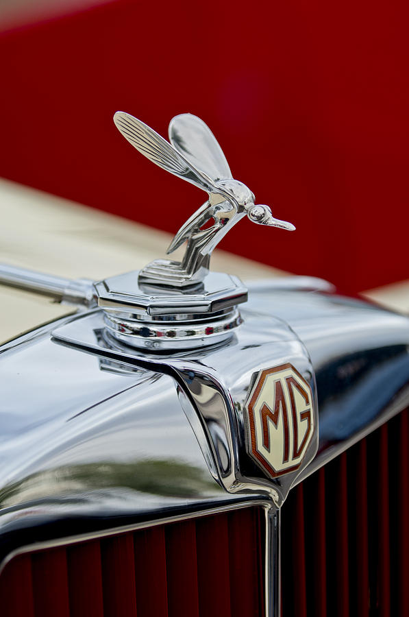 1948-mg-tc--the-midge-hood-ornament-jill-reger.jpg