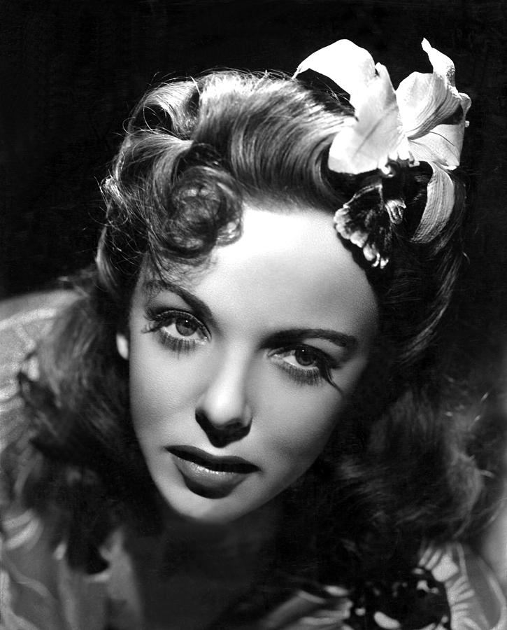 Ida Lupino, Portrait Photograph By Everett