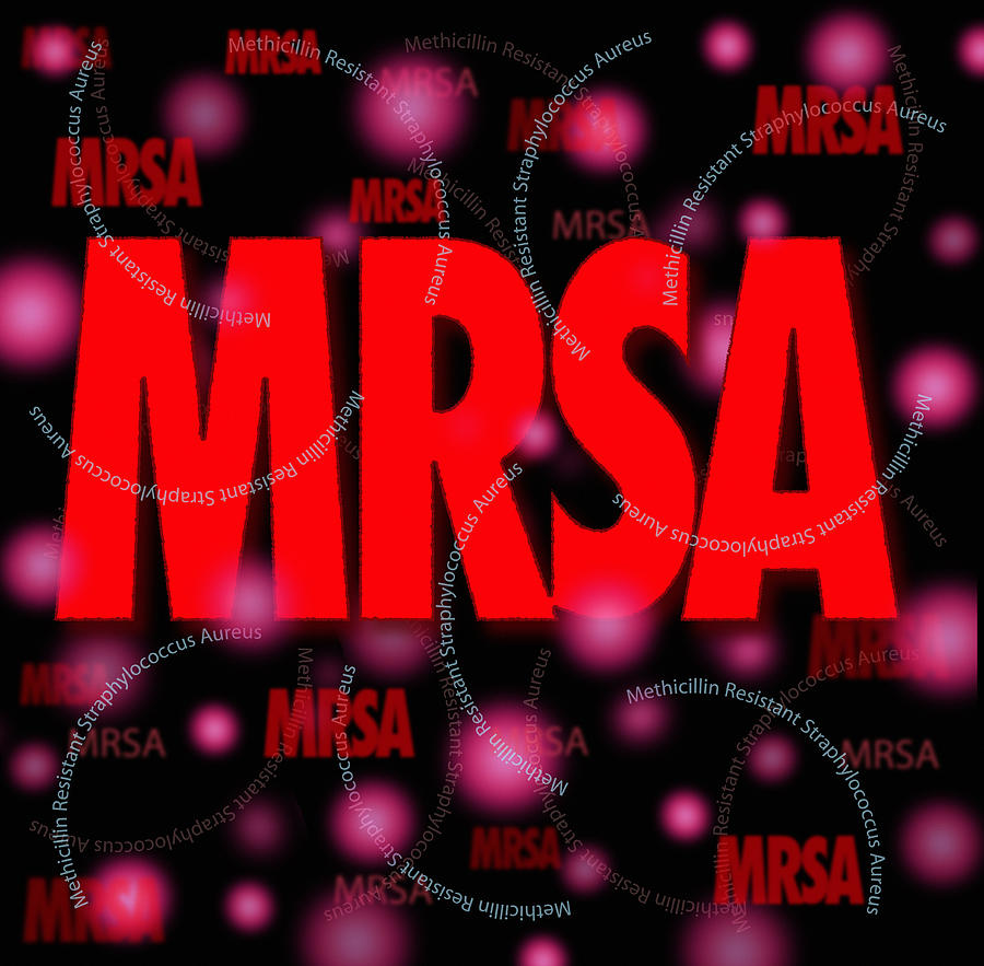 Mrsa Photograph By David Nicholls Fine Art America