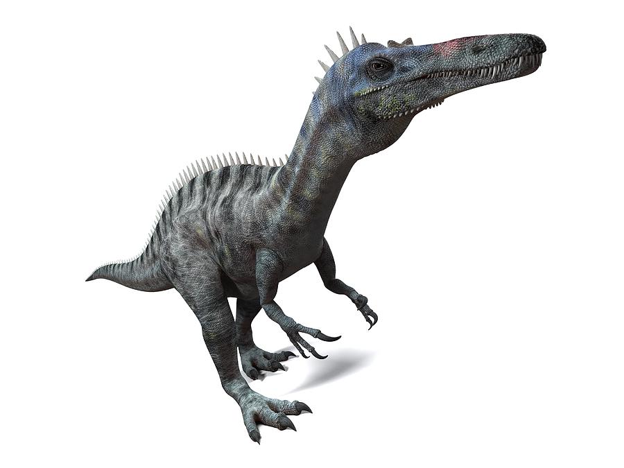 suchomimus dinosaur