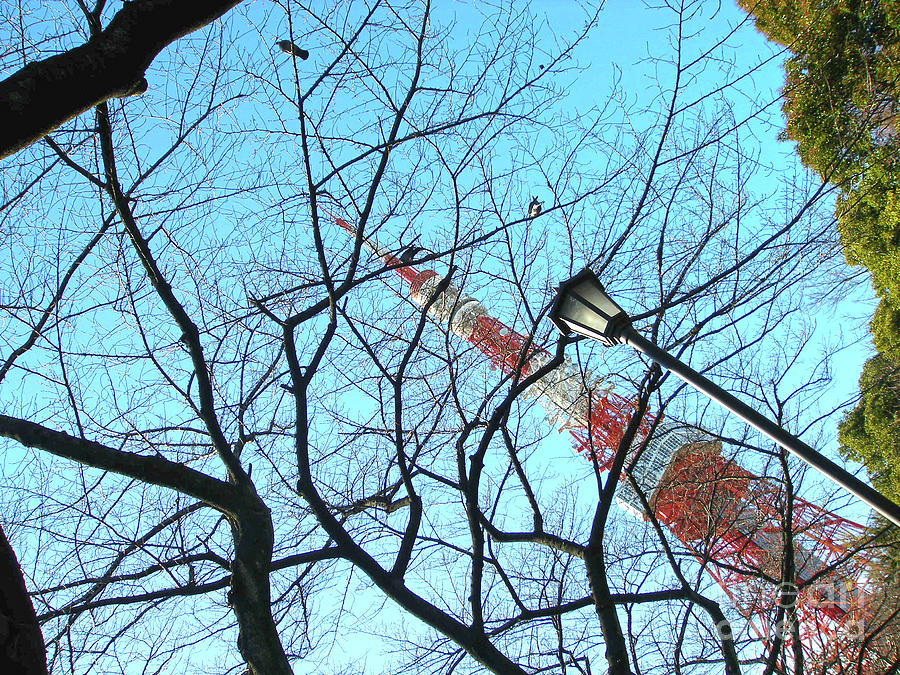  - 2-tokyo-tower-marie-loh