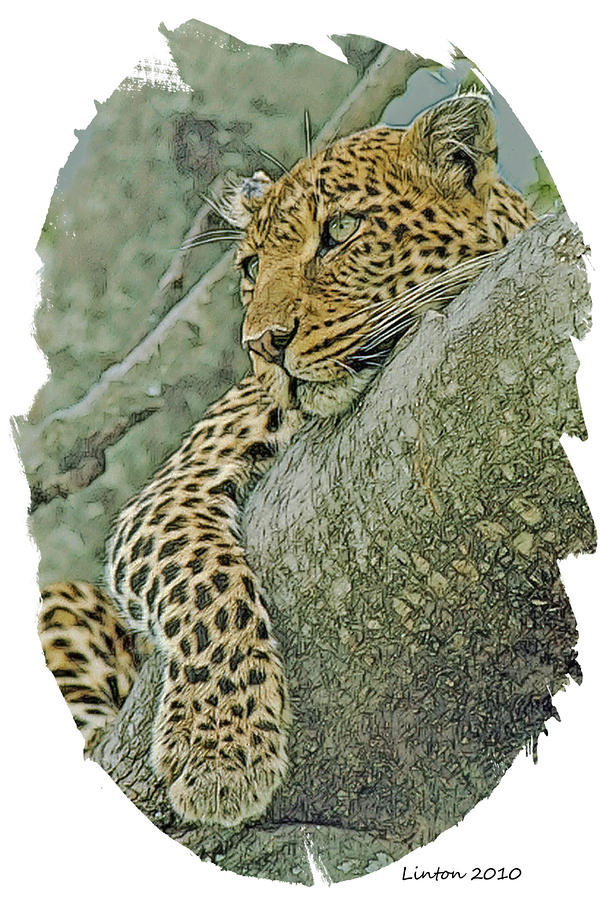 larry the leopard