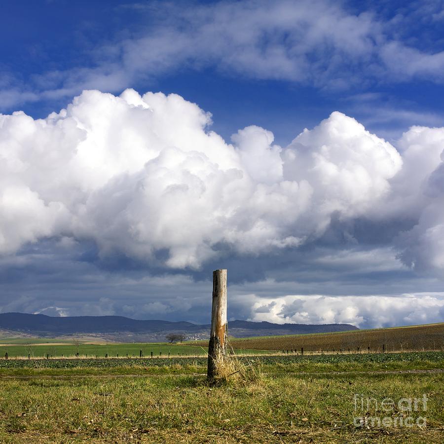 3-wooden-post-bernard-jaubert.jpg