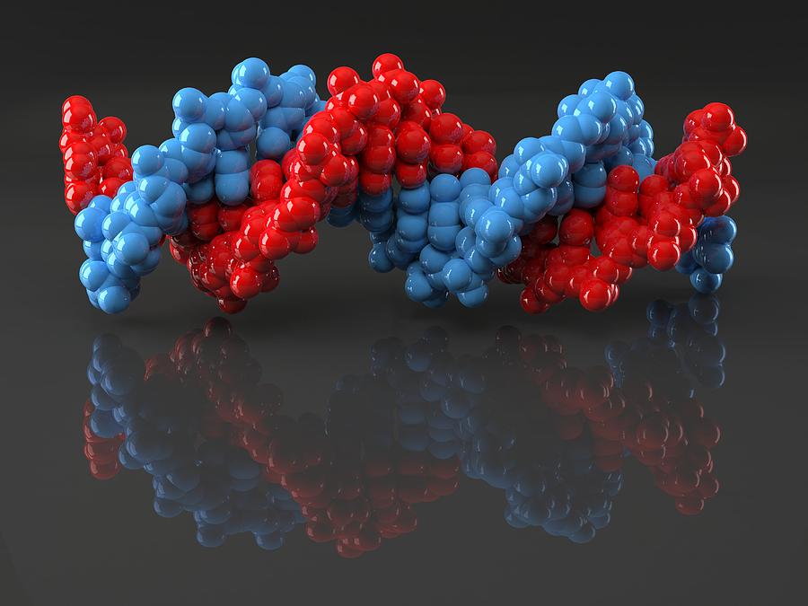 Dna Molecule Artwork Photograph By Laguna Design Pixels