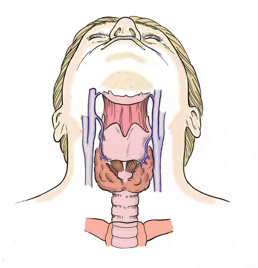 Best method for deep throat