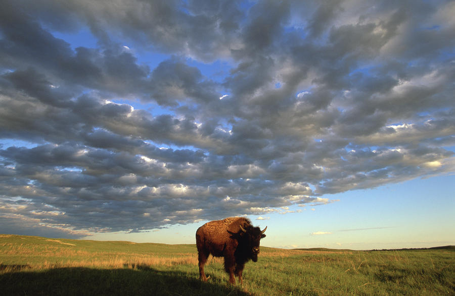 Fort Niobrara