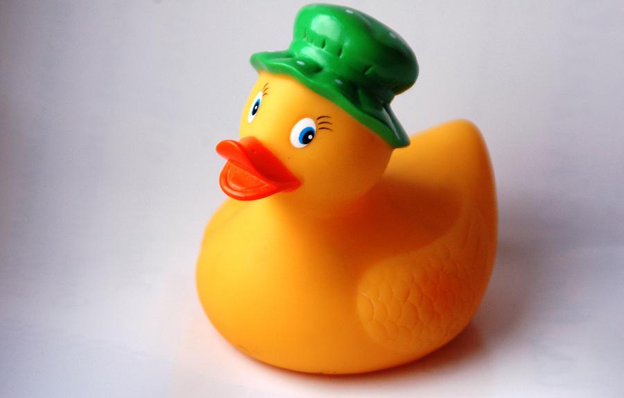 Duck In Hat