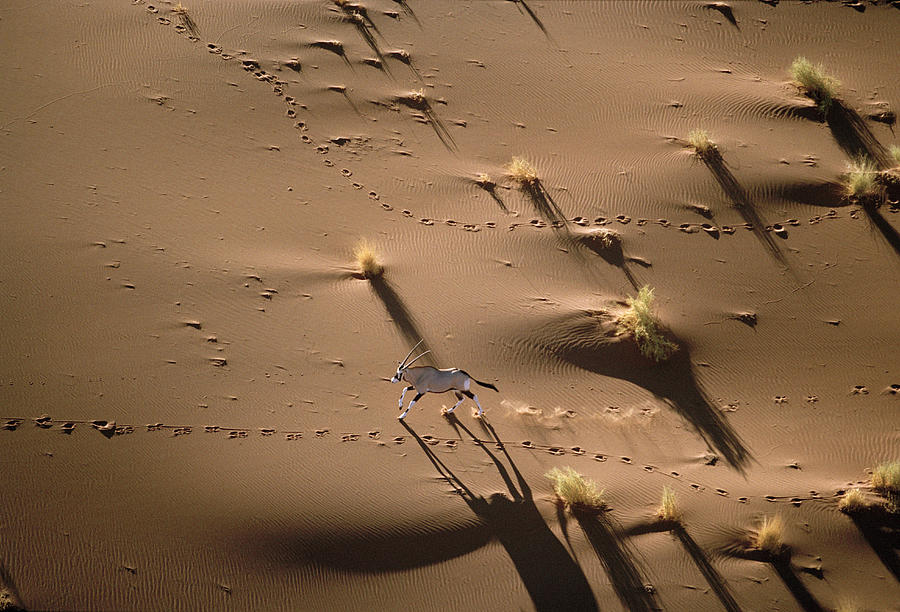 running desert