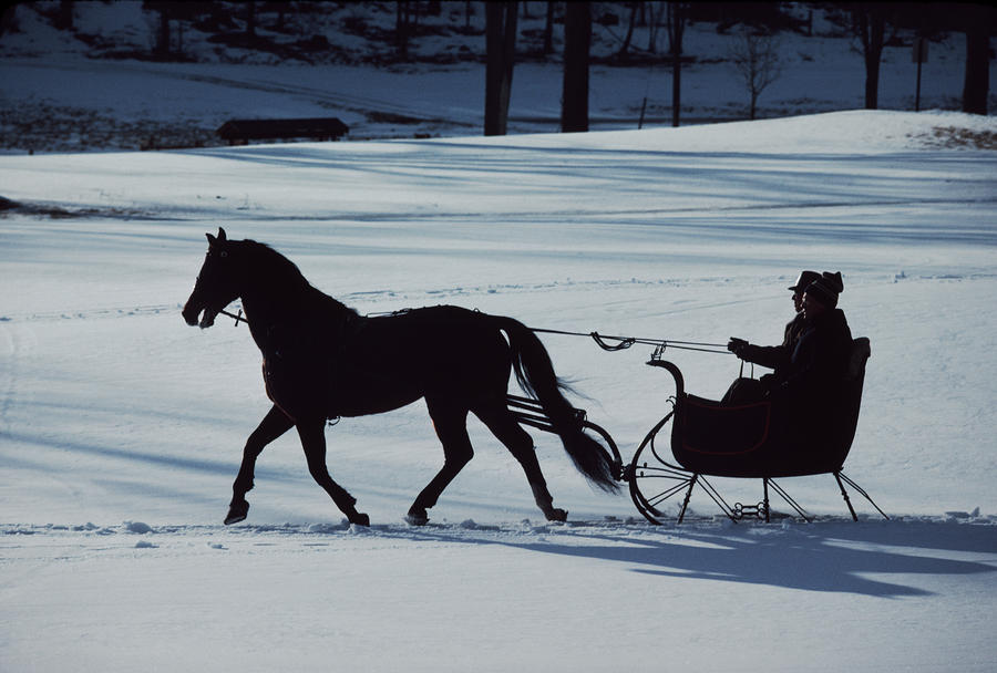 horse drawn sleigh clipart - photo #42