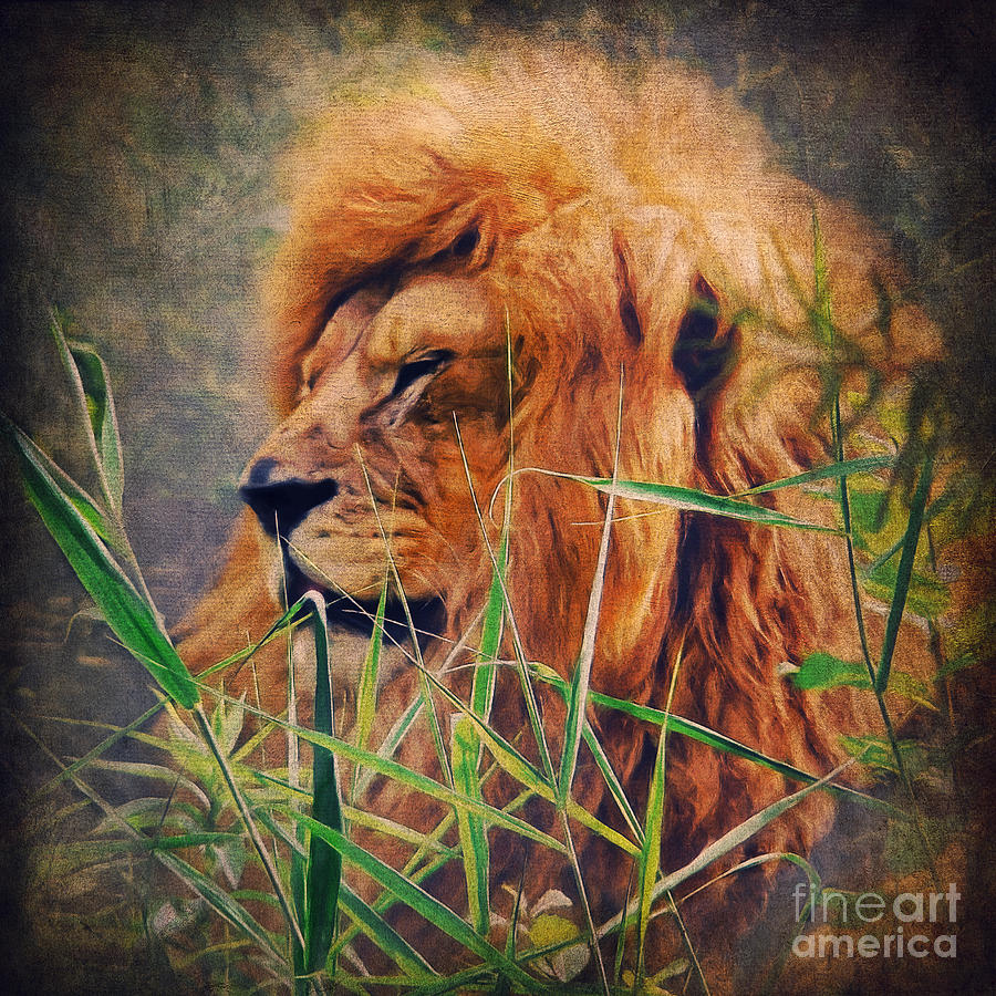 art of lion