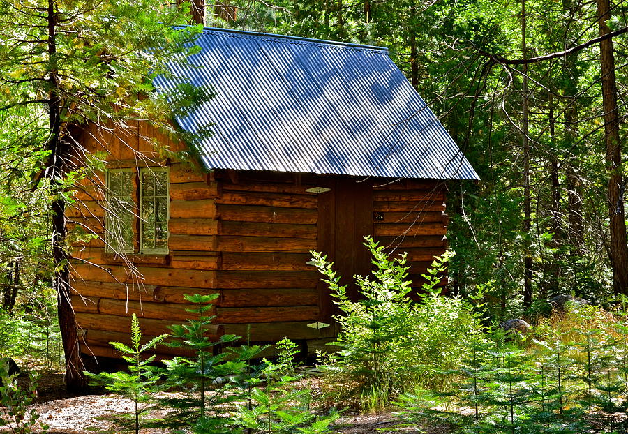 a-tiny-log-cabin-in-the-woods-kirsten-giving.jpg