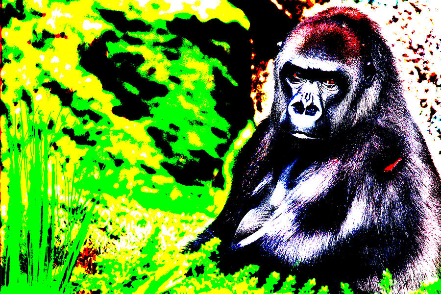 Abstract Gorilla