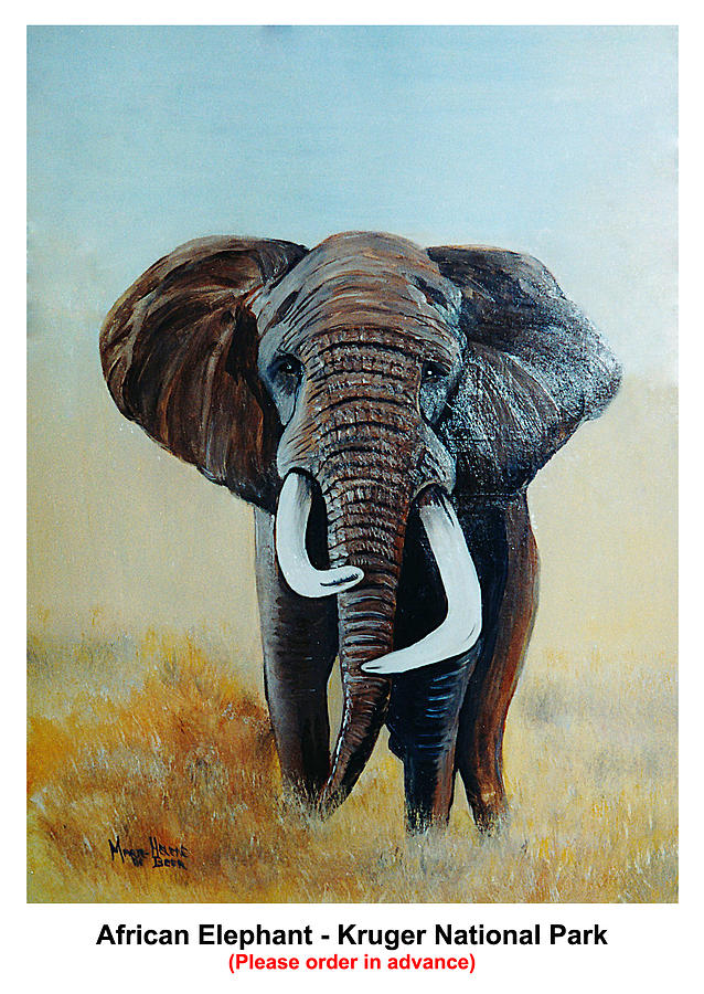  - african-elephant--kruger-national-park-marie--helene-de-beer