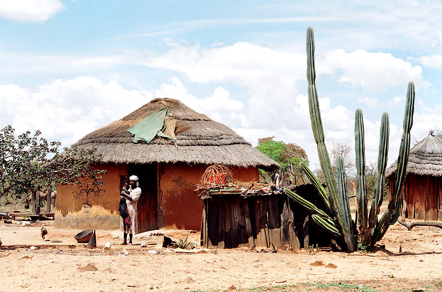 African Village Artwork