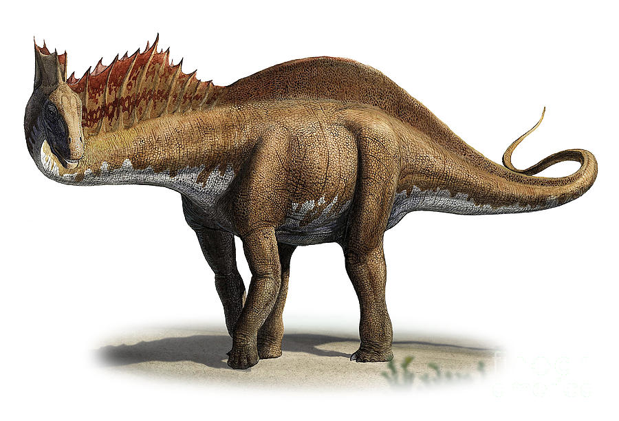 amargasaurus-cazaui-a-prehistoric-era-sergey-krasovskiy.jpg