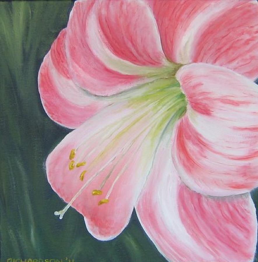 Amaryllis Paintings