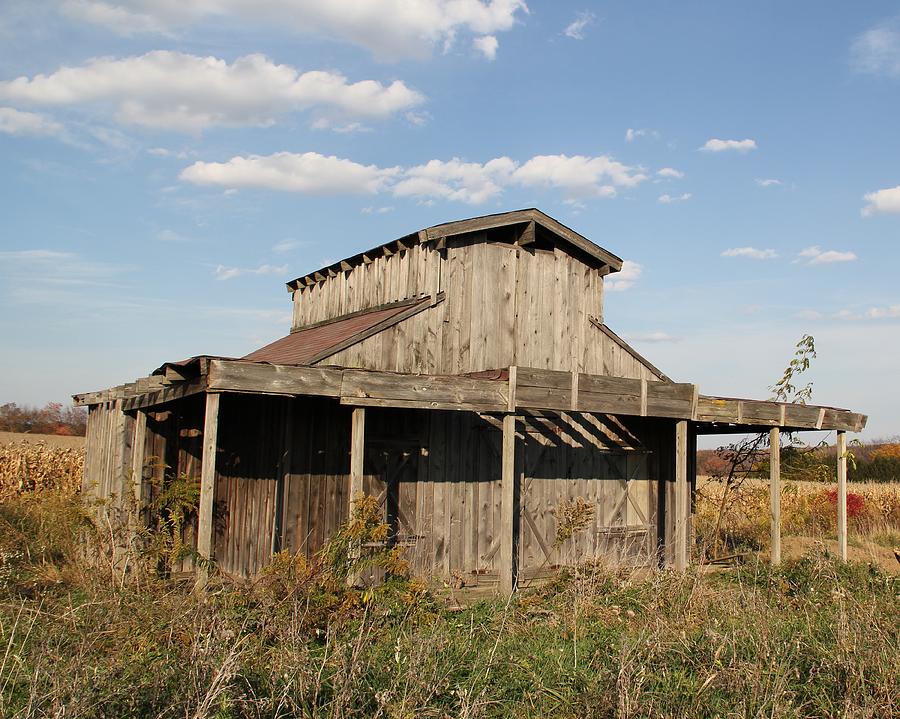 Amish Sheds