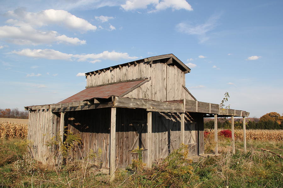 Amish Sheds