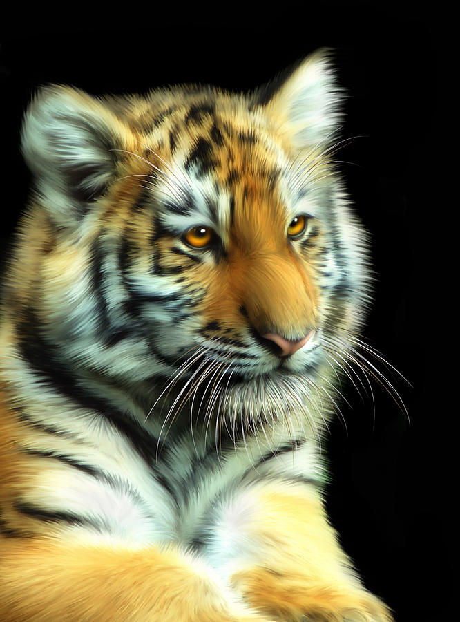  - amur-tiger-cub-julie-l-hoddinott