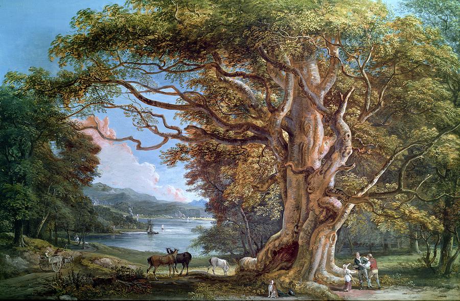 an-ancient-beech-tree-paul-sandby.jpg