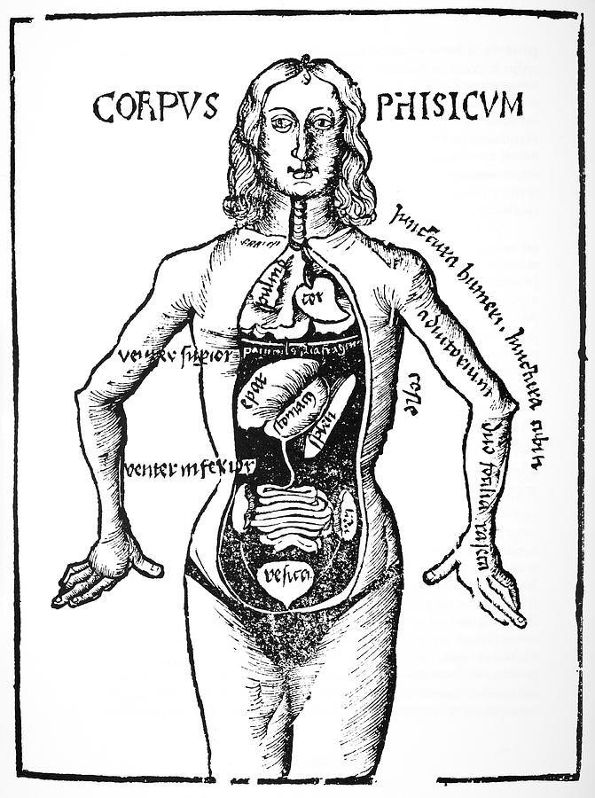 Anatomical Dissection Th Century Photograph By Fine Art America