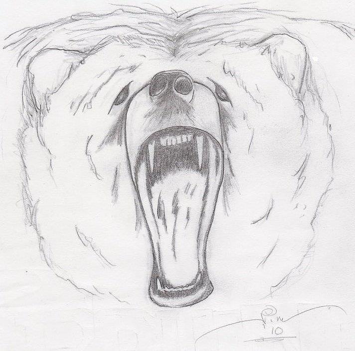 Angry Bear Drawing by Jim Keller