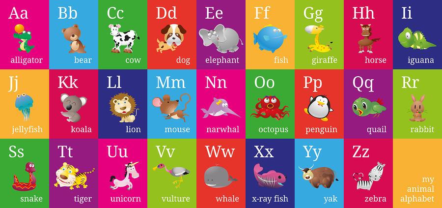 Animal Every Letter Alphabet