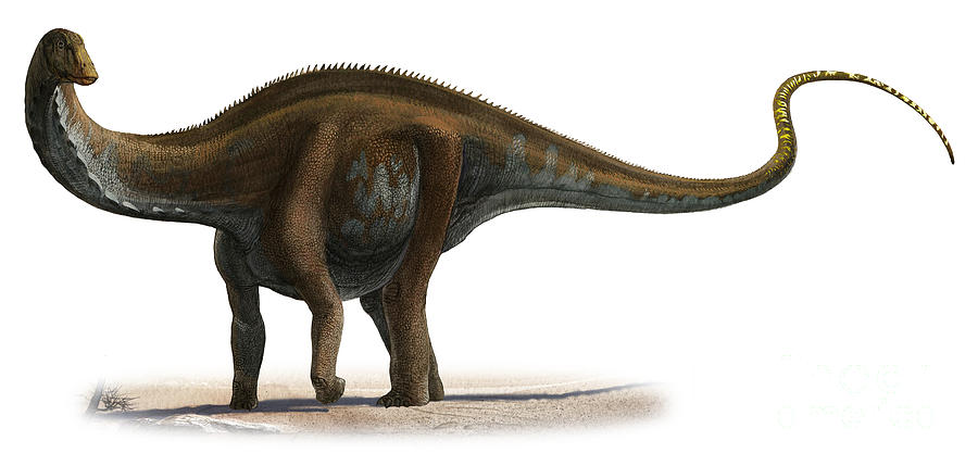 jw apatosaurus