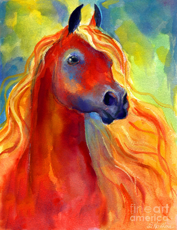 Paint Arabian Horses