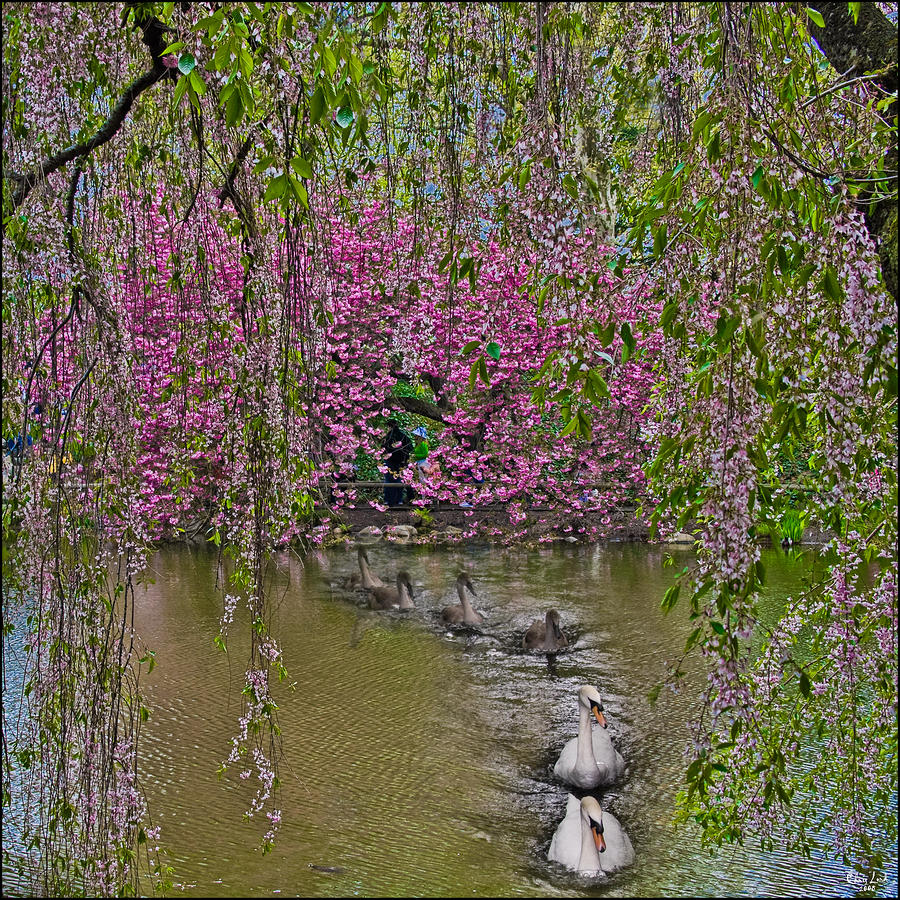 Asian Spring