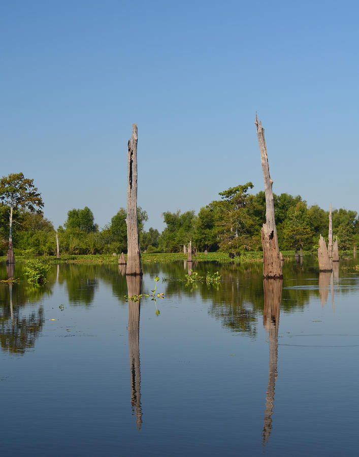 Atchafalaya Basin