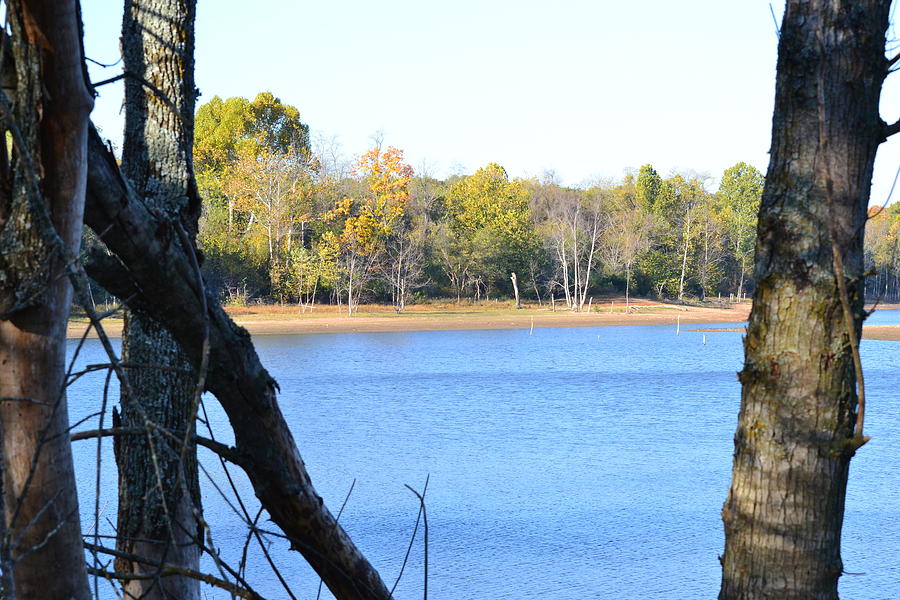 Autumn At The Lake Photograph By Carman Turner Fine Art America