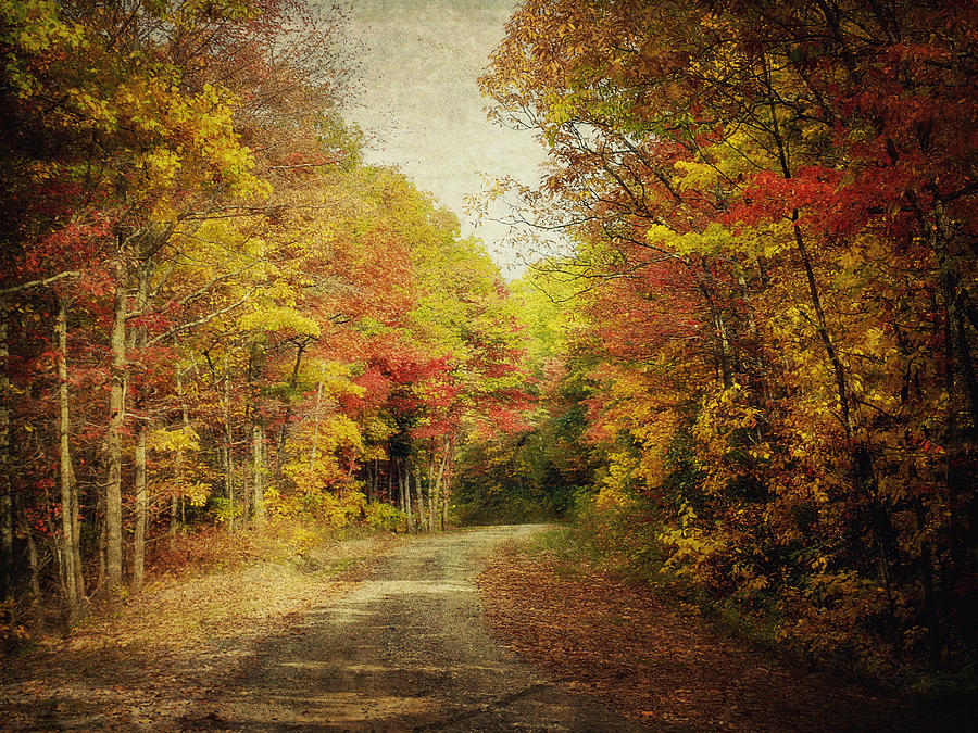 Autumn In Virginia