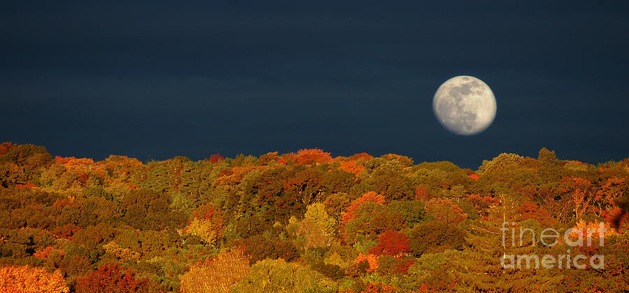 Autumn Moon Autumn Moon
