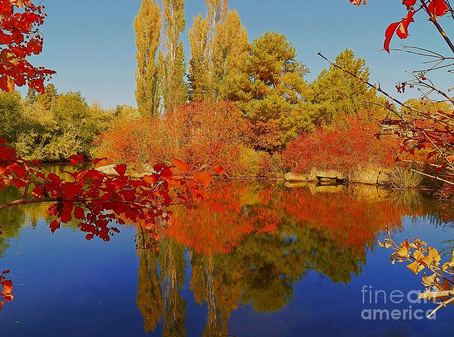 Photography Moment - Scenic Idaho Photograph - Autumn Photography ...