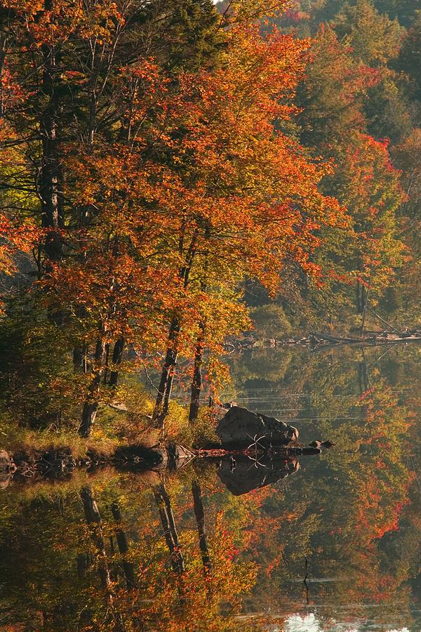Autumn Scenic Photograph