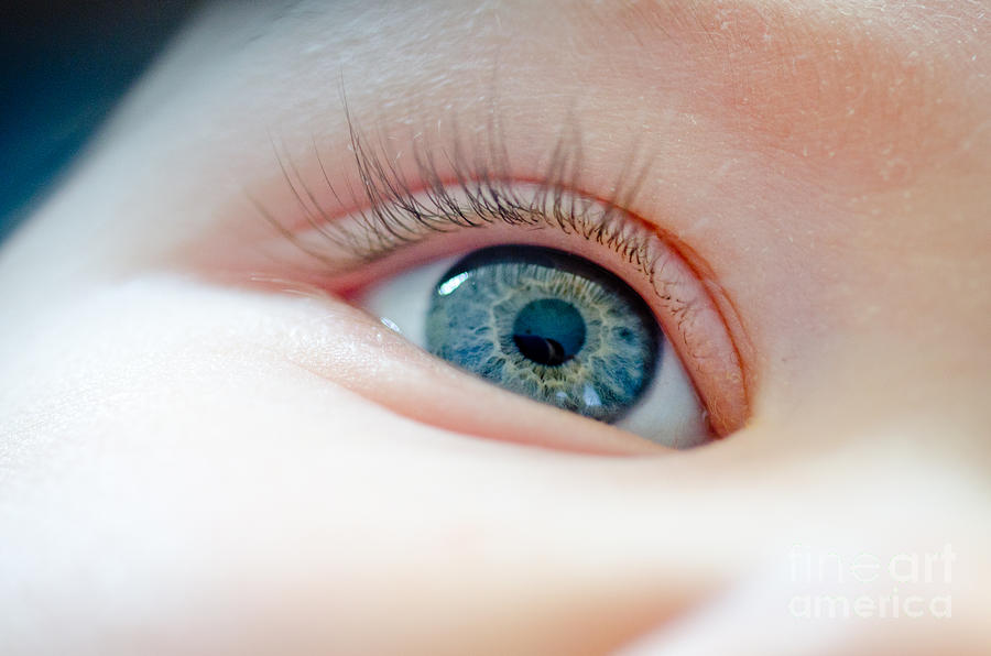 baby-eye-close-up-of-a-blue-eye-andy-smy.jpg