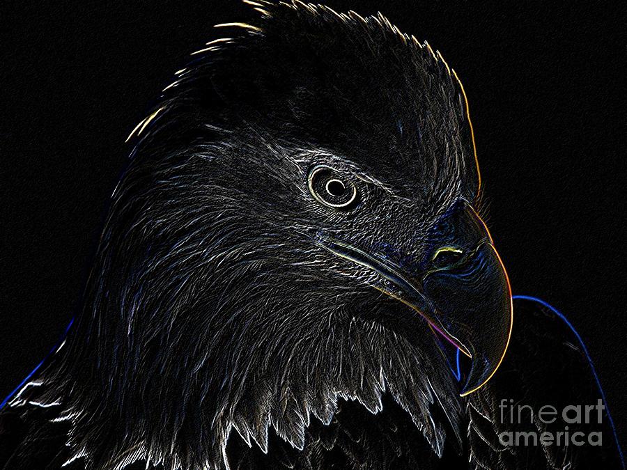 Bald Eagle Scratch Board Art Print by Anthony Allen
