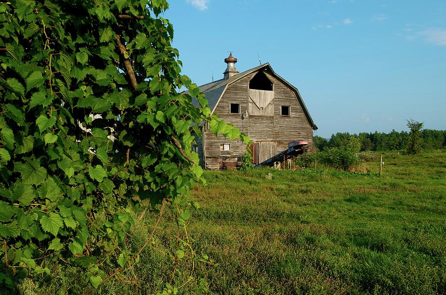 Barn In Maine Photograph