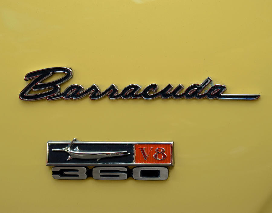 barracuda car logo