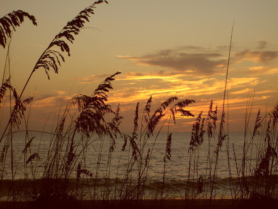  - beach-at-sunset-gary-bowes