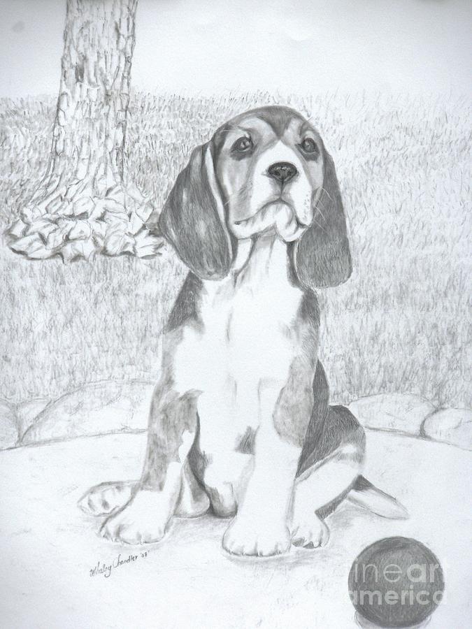  - beagle-pup-nancy-whaley-chandler