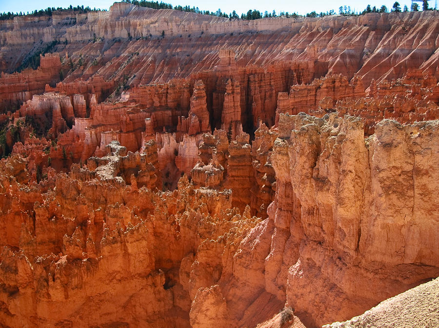Beautiful Rocks Of Utah by Robert Torkomian
