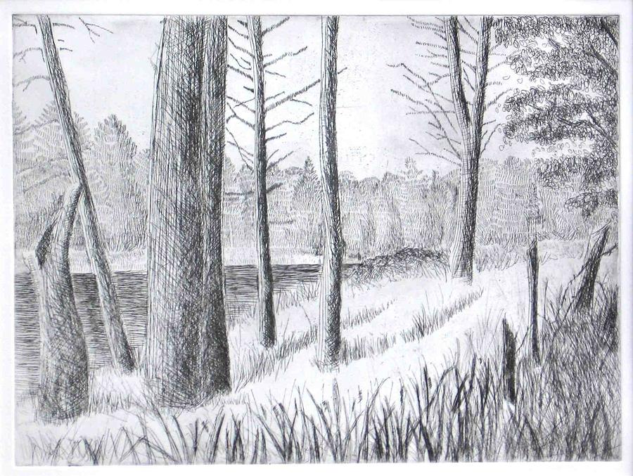 natural scenery pictures for drawing