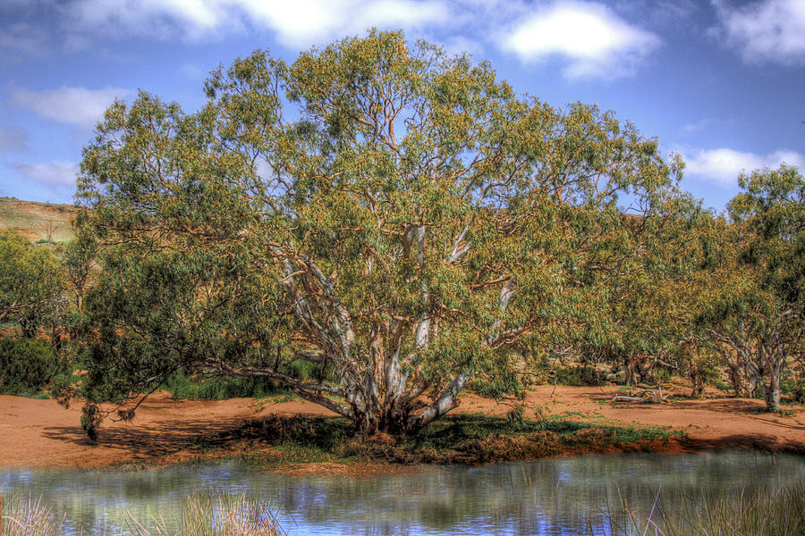 Mannum Falls